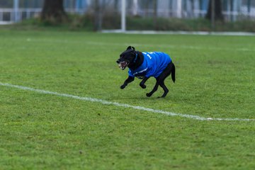 Bild 9 - C-Juniorinnen FSG BraWie 08 o.W. - SV Boostedt o.W. : Ergebnis: 9:0